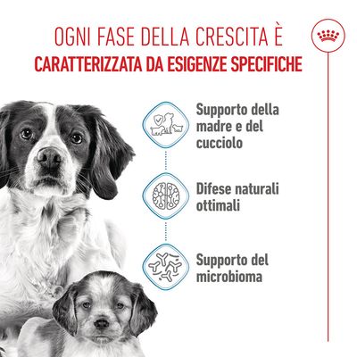 Royal Canin Medium Starter Mother & Babydog Crocchette per cane