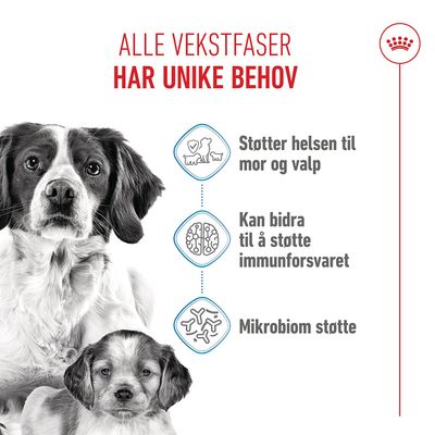 Royal Canin Medium Starter Mother & Babydog