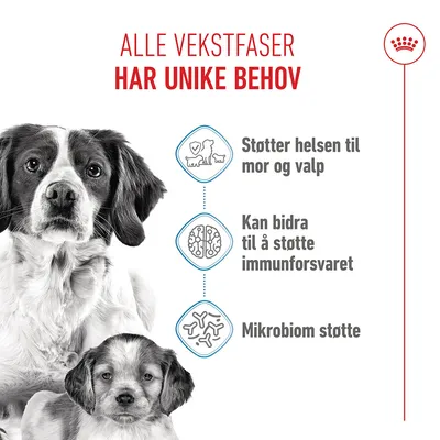 Royal Canin Medium Starter Mother & Babydog