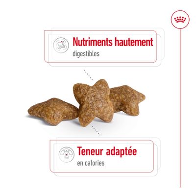 Trois croquettes en forme d’étoile, Texte : Nutriments hautement digestibles, teneur en calories adaptée.