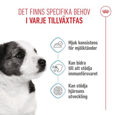 Royal Canin Mini Puppy i sås - Ekonomipack: 48 x 85 g