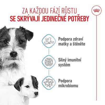 Grafika se třemi body: podpora zdraví matky a štěněte, silný imunitní systém, podpora mikrobiomu. Zobrazeni dva psi.