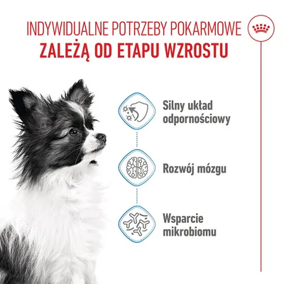 Royal Canin X-Small Puppy - 3 kg