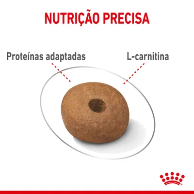 Ração com destaque para proteínas adaptadas e L-carnitina. Texto visível: Nutrição precisa, Proteínas adaptadas, L-carnitina.