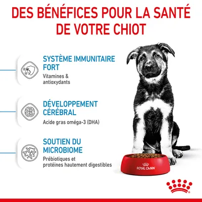 Des bénéfices pour la santé de votre chiot : système immunitaire fort, développement cérébral, soutien du microbiome. Gamelle Royal Canin visible.