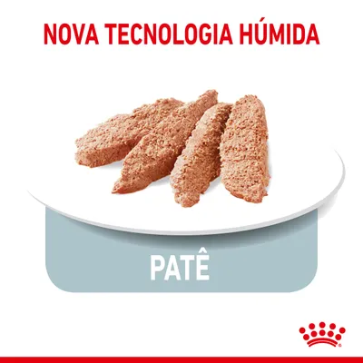 Nova tecnologia húmida. Patê apresentado em fatias num prato branco.