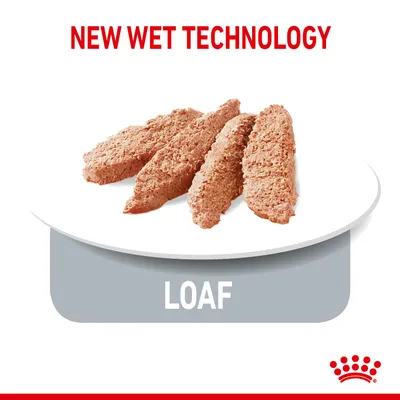 Fyra skivor av patéliknande våtfoder på tallrik, text: NEW WET TECHNOLOGY och LOAF. Royal Canin-krona synlig längst ner.