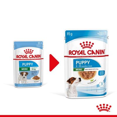 Změna obalu krmiva Royal Canin Puppy Mini 85 g. Nový obal: Puppy 2–10 months, Mini, Adult weight up to 10 kg, In gravy, No preservatives, vyobrazený pes a granule v omáčce.