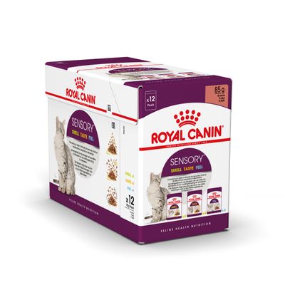 Pachet Royal Canin Sensory Smell Taste Feel pentru pisici, 12 plicuri a 85 g. Text vizibil: SENSORY SMELL TASTE FEEL. Imagine cu pisică și trei tipuri de hrană umedă.