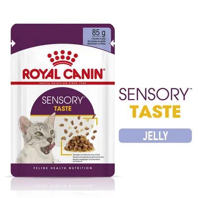 Sensory Taste jelly chunks in 85g pouch, stimulates sense of taste. Text highlights Sensory Taste and Jelly. Sensory Taste jelly chunks in 85g pouch, stimulates sense of taste. Text highlights Sensory Taste and Jelly.