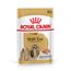 Royal Canin Shih Tzu Adult Mousse Sparpaket: 24 x 85 g