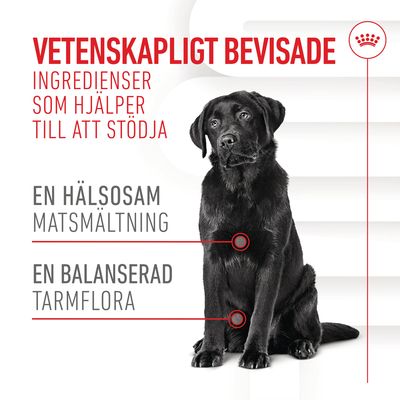 Vetenskapligt bevisade ingredienser som hjälper till att stödja en hälsosam matsmältning och en balanserad tarmflora. Bild på svart hund.