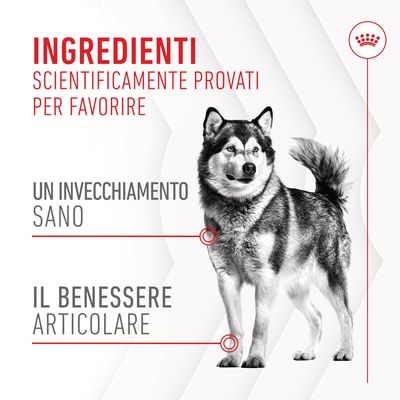 Ingredienti scientificamente provati per favorire un invecchiamento sano e il benessere articolare. Testo promozionale con immagine di cane.