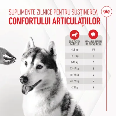 Suplimente zilnice pentru susținerea confortului articulațiilor. Tabel dozaj: <1,5 kg 1/2 buc., 1,5–7 kg 1, 8–12 kg 2, 13–17 kg 3, 18–22 kg 4, 23–27 kg 5, >28 kg 6 pe zi.