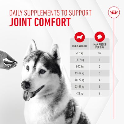 Royal Canin Joint & Ageing Supplement Adult Σνακ Μάσησης - 2 x 240 g (120 τεμάχια)