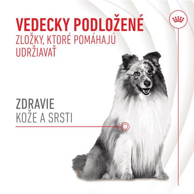 Vedecky podložené zložky, ktoré pomáhajú udržiavať zdravie kože a srsti. Obrázok psa s textom zvýrazňujúcim benefity pre kožu a srsť.
