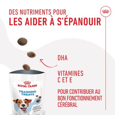 Royal Canin Training Treats Tasty Chews, texte visible : DHA, vitamines C et E, pour contribuer au bon fonctionnement cérébral, des nutriments pour les aider à s’épanouir.