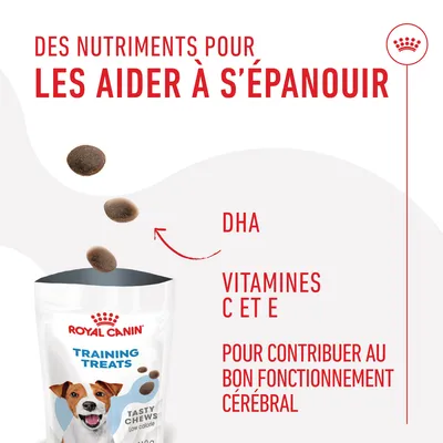 Royal Canin Training Treats Tasty Chews, texte visible : DHA, vitamines C et E, pour contribuer au bon fonctionnement cérébral, des nutriments pour les aider à s’épanouir.