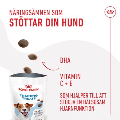 Royal Canin Training Treats Tasty Chews. Näringsämnen som stöttar din hund: DHA, vitamin C + E. Som hjälper till att stödja en hälsosam hjärnfunktion.