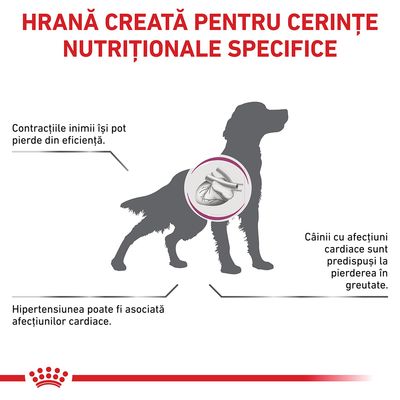 Hrană creată pentru cerințe nutriționale specifice. Contracțiile inimii își pot pierde din eficiență. Hipertensiunea poate fi asociată afecțiunilor cardiace. Câinii cu afecțiuni cardiace sunt predispuși la pierderea în greutate.