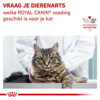VRAAG JE DIERENARTS welke ROYAL CANIN voeding geschikt is voor je kat. VETERINARY NUTRITION. Kat op onderzoekstafel met dierenarts in witte jas.