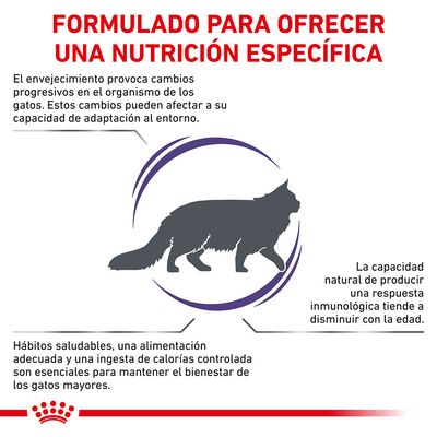 Formulado para ofrecer una nutrición específica. Información sobre envejecimiento en gatos, importancia de hábitos saludables y alimentación adecuada para su bienestar.