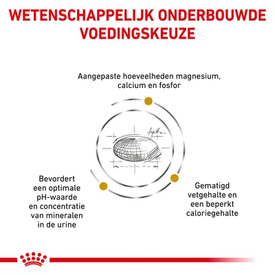 Wetenschappelijk onderbouwde voedingskeuze. Aangepaste hoeveelheden magnesium, calcium en fosfor. Bevordert optimale pH-waarde en mineralen in urine. Gematigd vet- en caloriegehalte.
