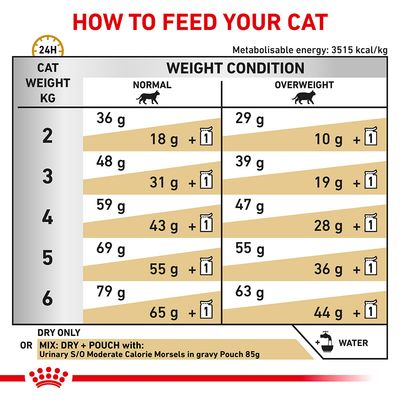 Feeding guide showing daily dry and mixed food amounts by cat weight and condition. Includes separate columns for normal and overweight, with grams and pouch icons for each weight from 2 to 6 kg.