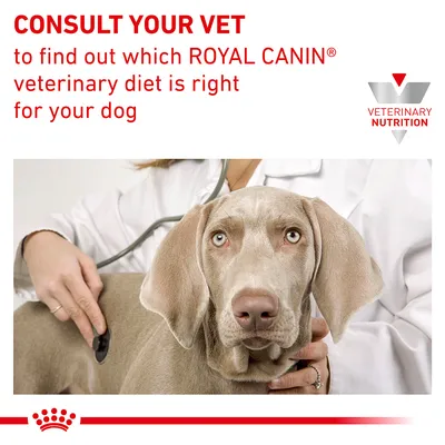 CONSULT YOUR VET to find out which ROYAL CANIN veterinary diet is right for your dog. VETERINARY NUTRITION (angol nyelvű szöveg a képen).