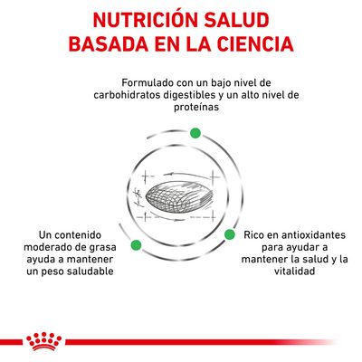 Nutrición salud basada en la ciencia. Bajo nivel de carbohidratos digestibles, alto nivel de proteínas, contenido moderado de grasa y rico en antioxidantes para salud y vitalidad.