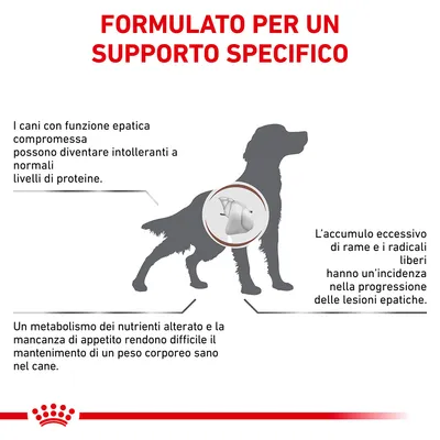 FORMULATO PER UN SUPPORTO SPECIFICO. I cani con funzione epatica compromessa possono diventare intolleranti a normali livelli di proteine. Altri testi su metabolismo e lesioni epatiche.