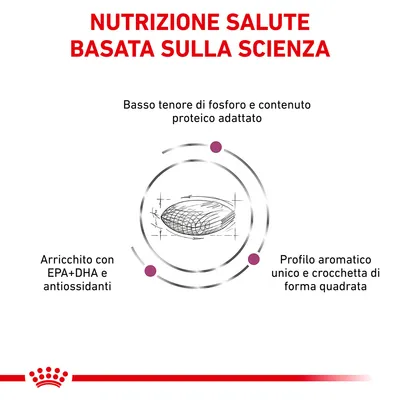 Nutrizione salute basata sulla scienza. Basso tenore di fosforo e contenuto proteico adattato. Arricchito con EPA+DHA e antiossidanti. Profilo aromatico unico e crocchetta di forma quadrata.