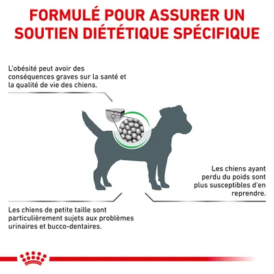 Formulé pour assurer un soutien diététique spécifique. L’obésité peut avoir des conséquences graves sur la santé et la qualité de vie des chiens. Les petits chiens sont sujets à des problèmes urinaires et bucco-dentaires. Les chiens ayant perdu du poids sont plus susceptibles d’en reprendre.
