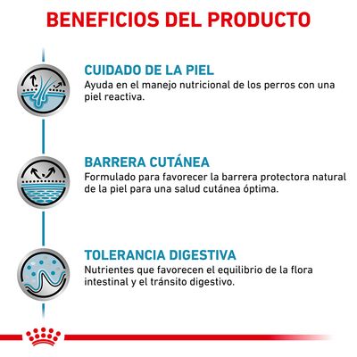 Beneficios del producto: cuidado de la piel, barrera cutánea y tolerancia digestiva. Incluye descripciones sobre manejo nutricional, salud cutánea y equilibrio intestinal.