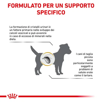 Testo: Formulato per un supporto specifico. Cristalli urinari causati da eccesso di minerali nella dieta; i cani di taglia piccola sono soggetti a problemi orali come il tartaro.
