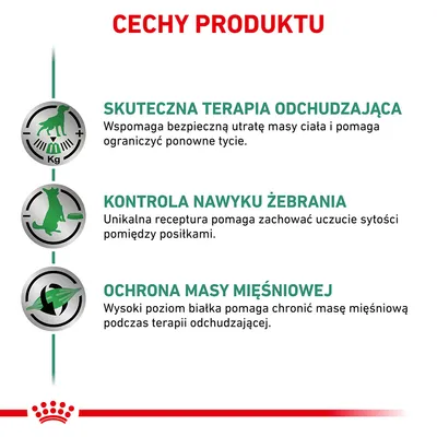 Cechy produktu: skuteczna terapia odchudzająca, kontrola nawyku żebrania, ochrona masy mięśniowej. Opisy dotyczą wsparcia utraty masy ciała, sytości i ochrony mięśni.