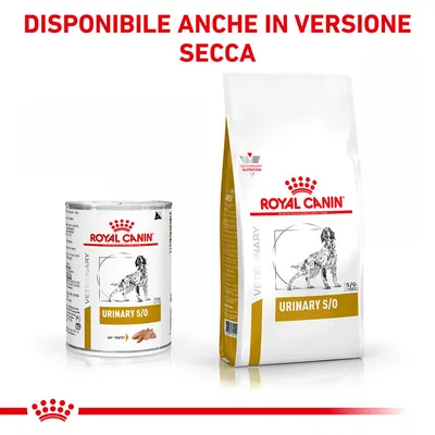 ROYAL CANIN URINARY S/O cibo umido e secco per cani, confezioni visibili. Testo in alto: DISPONIBILE ANCHE IN VERSIONE SECCA.