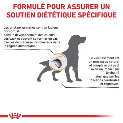 Formulé pour assurer un soutien diététique spécifique. Explications sur les cristaux urinaires et le vieillissement chez le chien, schéma d’un chien avec illustration interne.