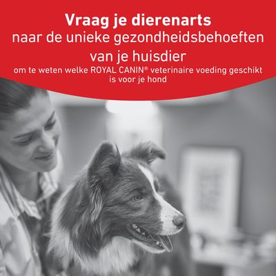 Vraag uw dierenarts naar de unieke gezondheidsbehoeften van uw huisdier en of royal veterinair voer geschikt is voor uw hond.