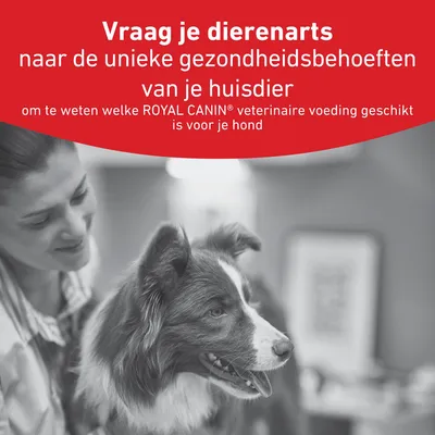Vraag uw dierenarts naar de unieke gezondheidsbehoeften van uw huisdier en of royal veterinair voer geschikt is voor uw hond.