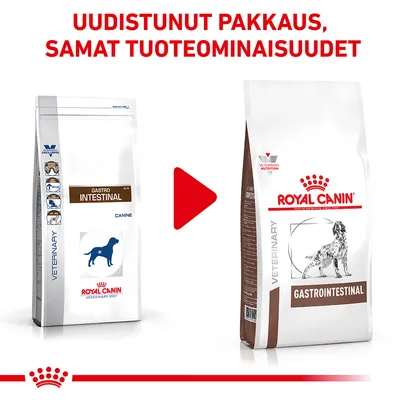 Royal Canin Gastrointestinal -koiranruoan pakkausmuutos: vanha ja uusi pussi vierekkäin, teksti 'Uudistunut pakkaus, samat tuoteominaisuudet' ylhäällä.