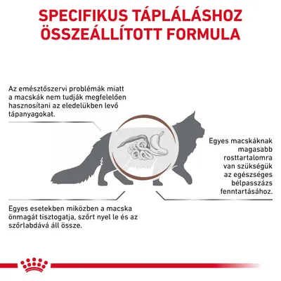 Specifikus tápláláshoz összeállított formula. Emésztőszervi problémák, rosttartalom szükségessége és szőrlabda képződés magyarázata macska ábrán, Royal Canin logóval.