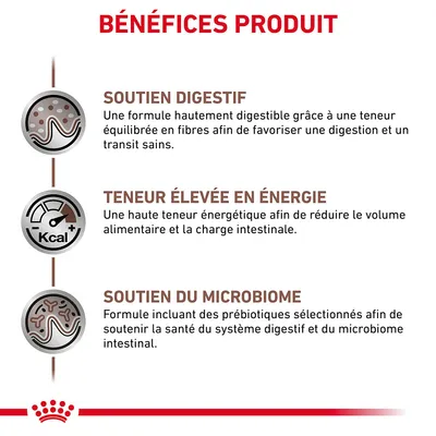 BÉNÉFICES PRODUIT : SOUTIEN DIGESTIF, TENEUR ÉLEVÉE EN ÉNERGIE, SOUTIEN DU MICROBIOME. Détails sur la digestibilité, l'énergie et les prébiotiques visibles dans l'image.