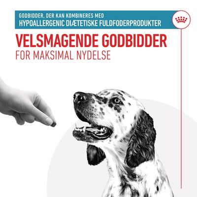 VELSMAGENDE GODBIDDER FOR MAKSIMAL NYDELSE. Godbidder, der kan kombineres med hypoallergenic diætetiske fuldfoderprodukter. Hånd giver godbid til dalmatinerhund.
