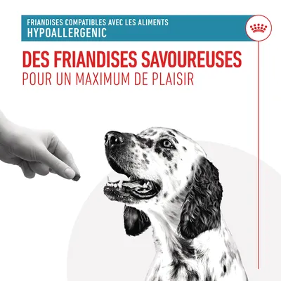 Friandises compatibles avec les aliments hypoallergenic. Des friandises savoureuses pour un maximum de plaisir. Main tenant une friandise devant un chien tacheté.