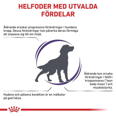 Helfoder med utvalda fördelar. Åldrande orsakar förändringar i hundens kropp, påverkar anpassningsförmåga, fettfri massa och muskelstyrka. Hud och päls indikerar god hälsa.