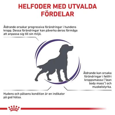 Helfoder med utvalda fördelar. Åldrande orsakar förändringar i hundens kropp, påverkar anpassningsförmåga, fettfri massa och muskelstyrka. Hud och päls indikerar god hälsa.
