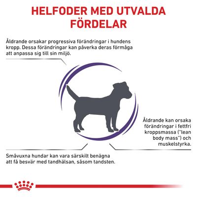 Helfoder med utvalda fördelar: information om åldrande hos hundar, påverkan på kropp, muskelstyrka och tandhälsa. Texten nämner fettfri kroppsmassa och risk för tandsten hos småvuxna hundar.