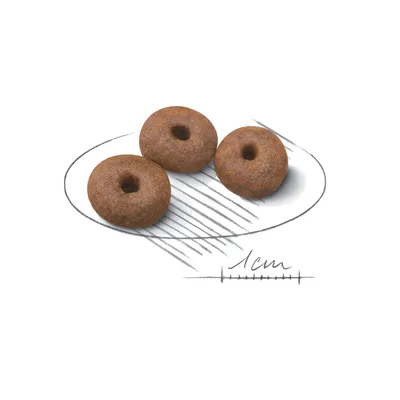 Drie ronde brokjes met gat in het midden, getoond op een schaaltekening met maatverdeling; diameter circa 1 cm zichtbaar aangegeven.