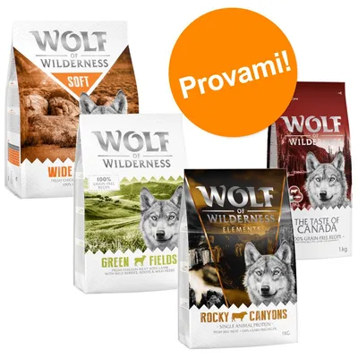Quattro confezioni di crocchette Wolf of Wilderness: Soft Wide, Green Fields, Elements Rocky Canyons, The Taste of Canada. Cerchio arancione con testo: Provami!